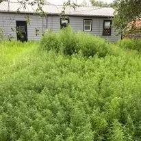 Professional yard maintenance with custom design in Amarillo, TX by Potter County Mowing