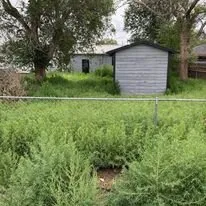 Affordable landscaping services in Amarillo, TX - Potter County Mowing