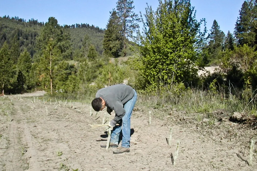 Local garden landscaping in Missoula, MT - Potter-Frame Enterprises