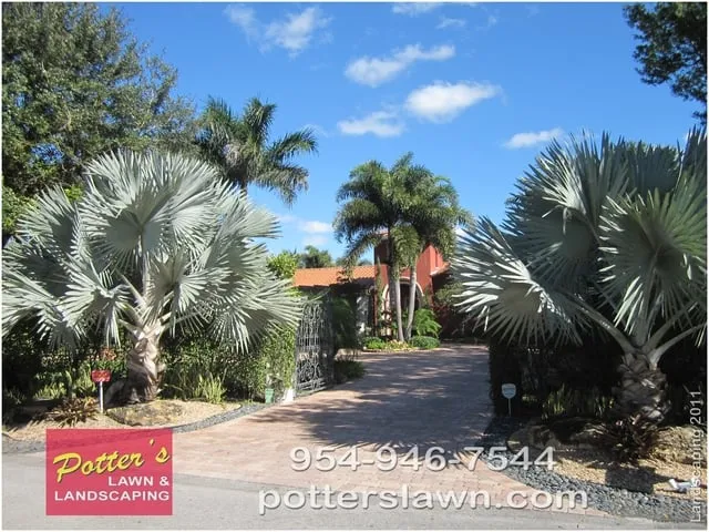 Professional yard cleanup service in Pompano Beach, FL - Potter's Lawn & Landscaping