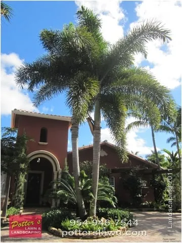 Trusted yard cleanup service in Pompano Beach, FL by Potter's Lawn & Landscaping