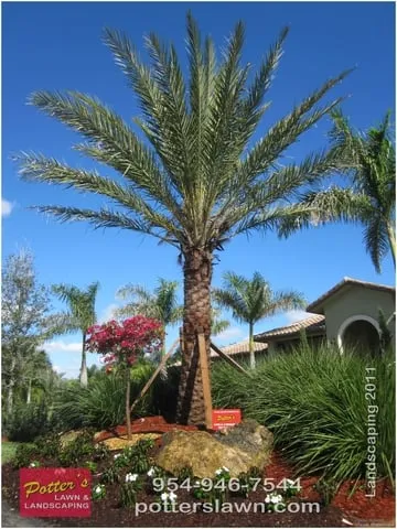 Local garden landscaping in Pompano Beach, FL by Potter's Lawn & Landscaping