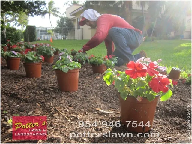 Custom yard maintenance experts serving Pompano Beach, FL - Potter's Lawn & Landscaping