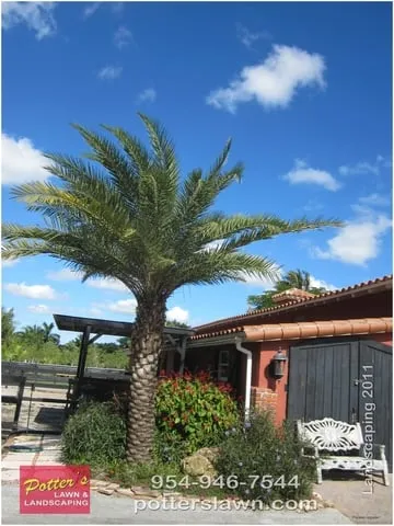 Local yard cleanup service with custom design in Pompano Beach, FL by Potter's Lawn & Landscaping