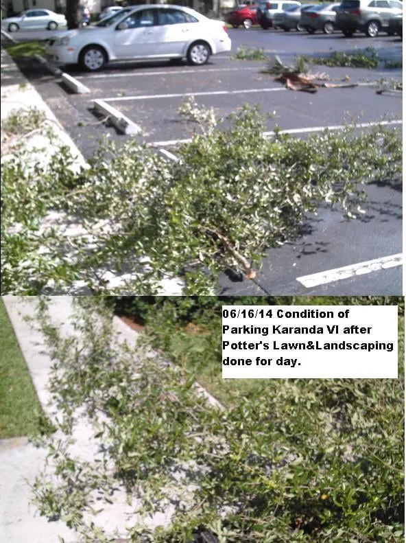 Affordable landscape installation in Pompano Beach, FL - Potter's Lawn & Landscaping