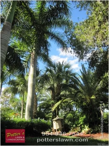 Top-rated landscaping services for beautiful yards across Pompano Beach, FL - Potter's Lawn & Landscaping