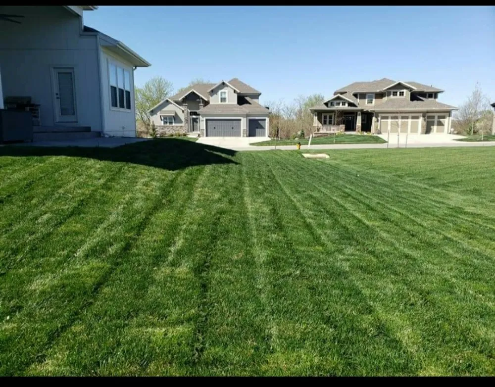 Top-rated yard cleanup service near you in Olathe, KS by Potter's Touch Landscaping