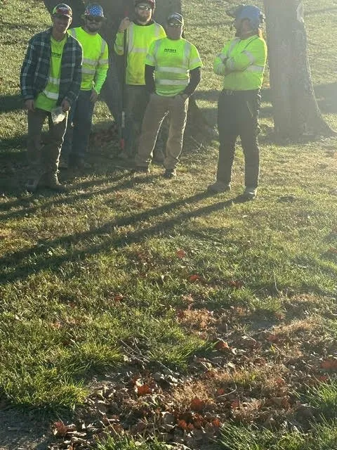 Local lawn care service near you across Staunton, VA - Potter's Tree Service