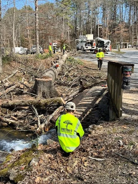 Reliable landscaping services in Staunton, VA - Potter's Tree Service