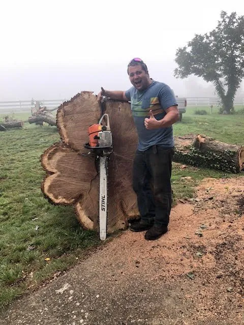 Affordable landscape design in Staunton, VA - Potter's Tree Service