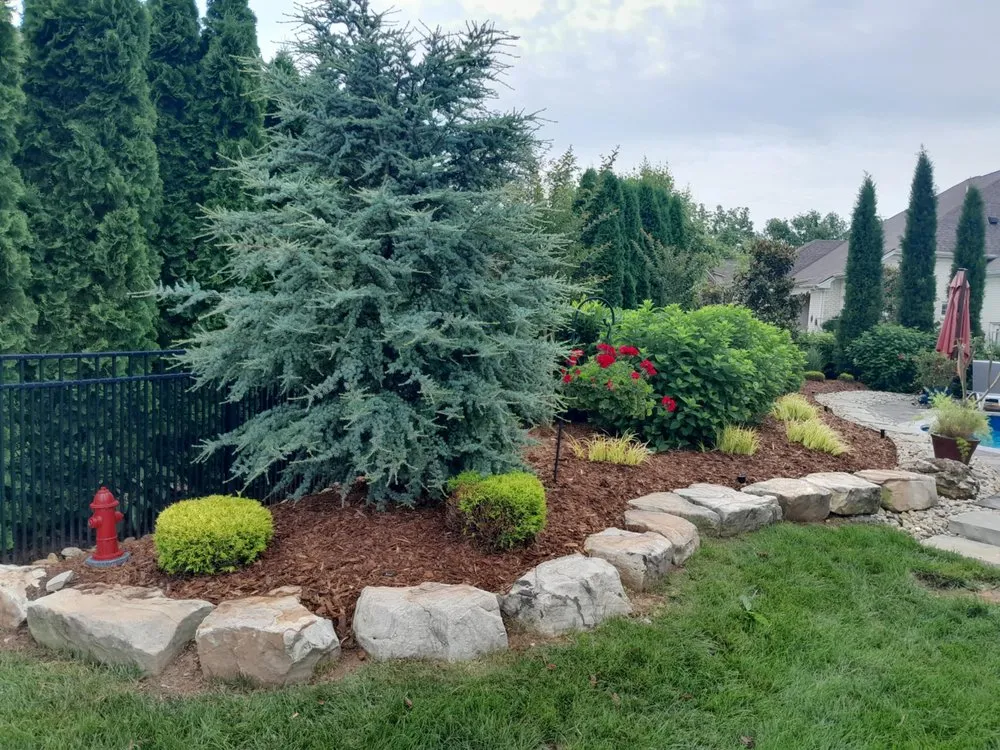 Expert yard cleanup service for outdoor upgrades across Eagleville, TN - Potts Lawn Care