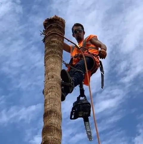 Local garden landscaping for residential properties across Las Vegas, NV - Potts Tree Service