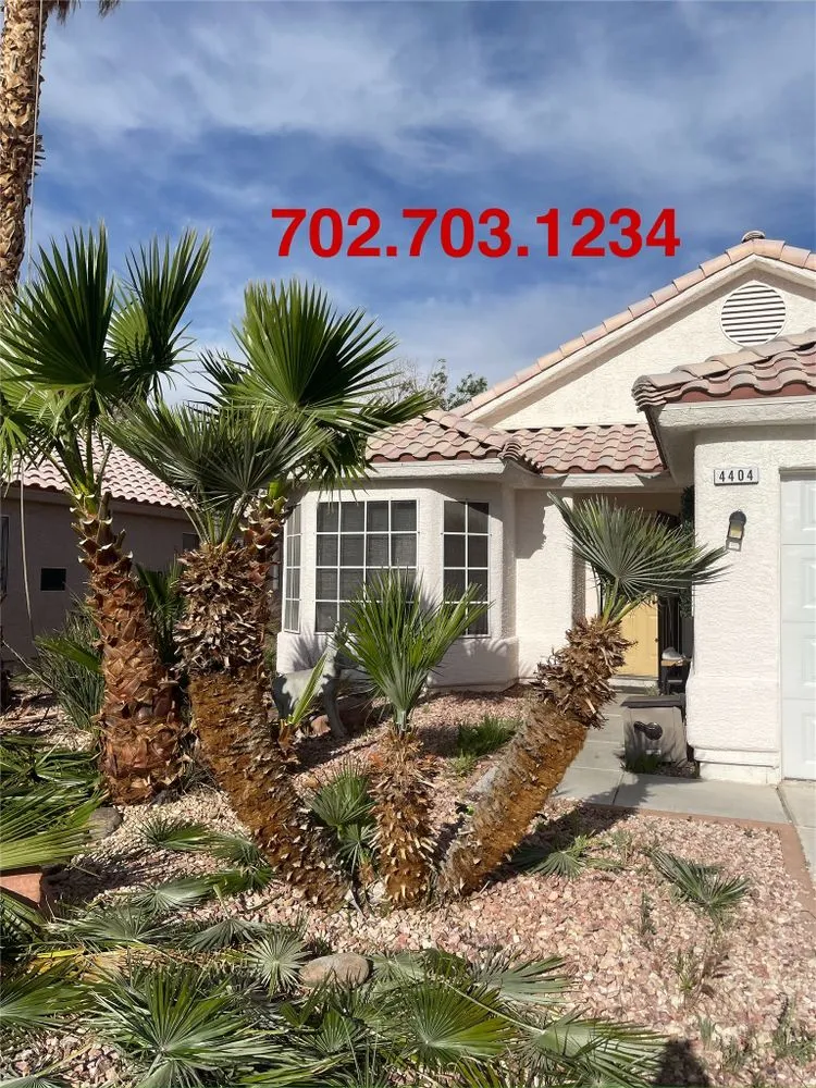 Custom garden landscaping in Las Vegas, NV - Potts Tree Service