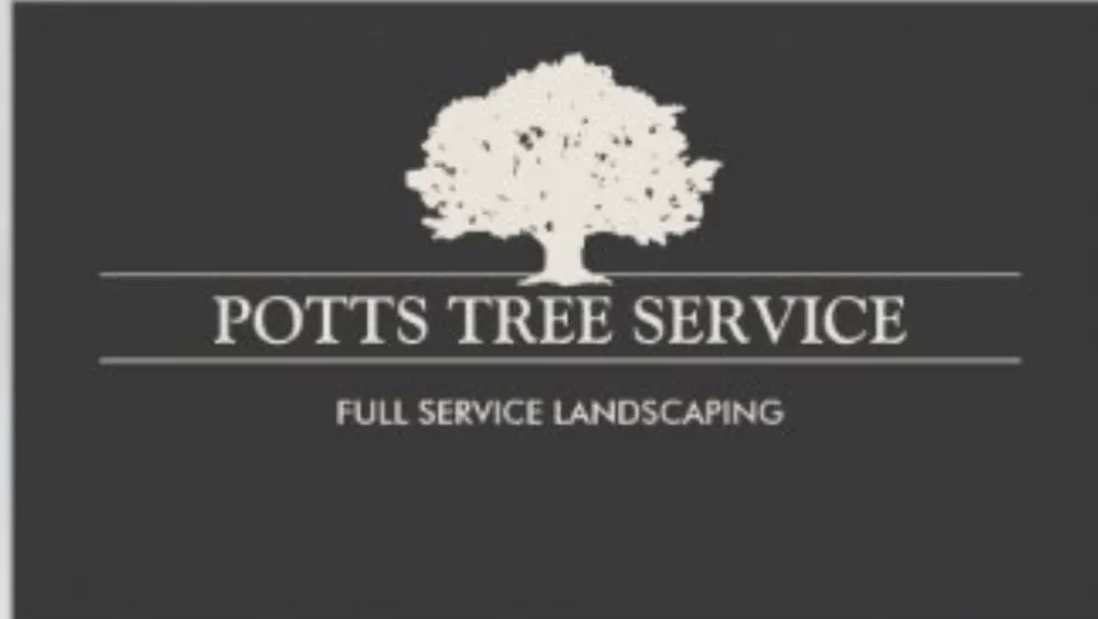 Professional lawn mowing service in Las Vegas, NV by Potts Tree Service