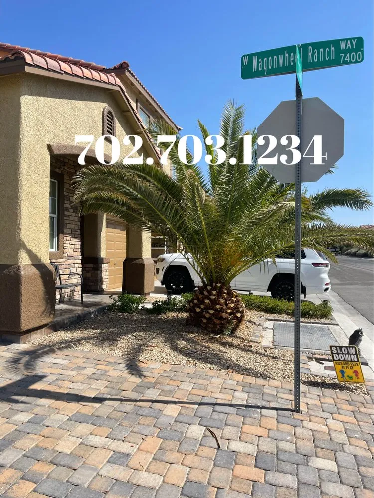 Local yard maintenance for outdoor upgrades in Las Vegas, NV by Potts Tree Service