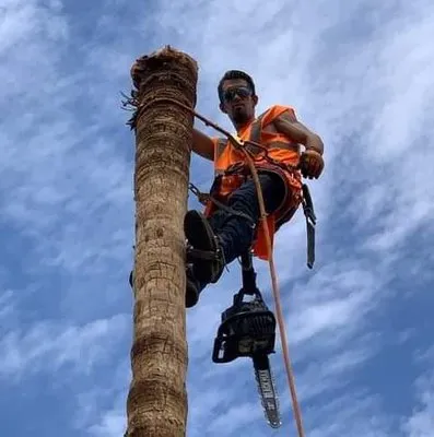 Potts Tree Service Logo