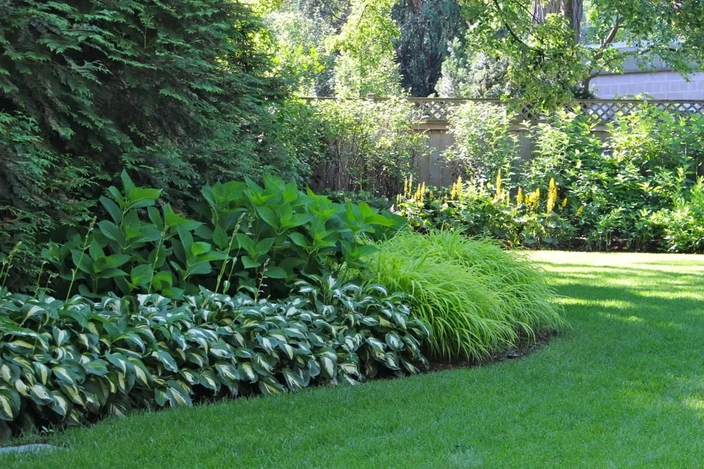 Top-rated landscape installation in Long Grove, IL - Poul's Landscaping & Nursery