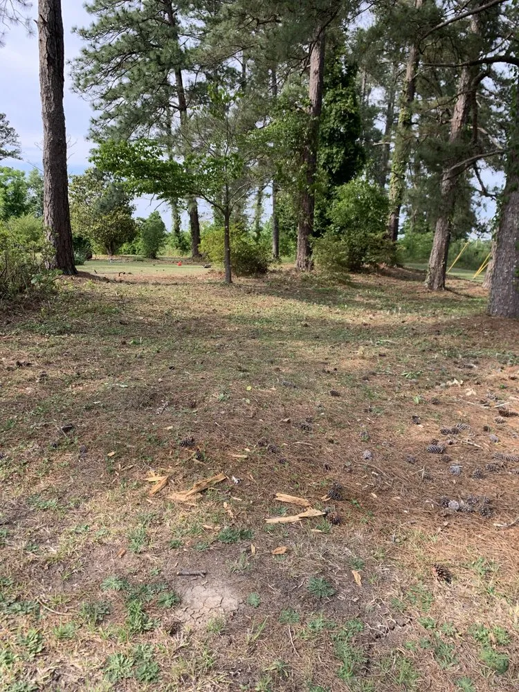 Trusted garden landscaping in Milledgeville, GA by Pound's Landscaping & Pressure Washing