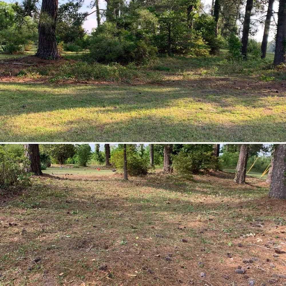 Reliable landscaping services in Milledgeville, GA - Pound's Landscaping & Pressure Washing