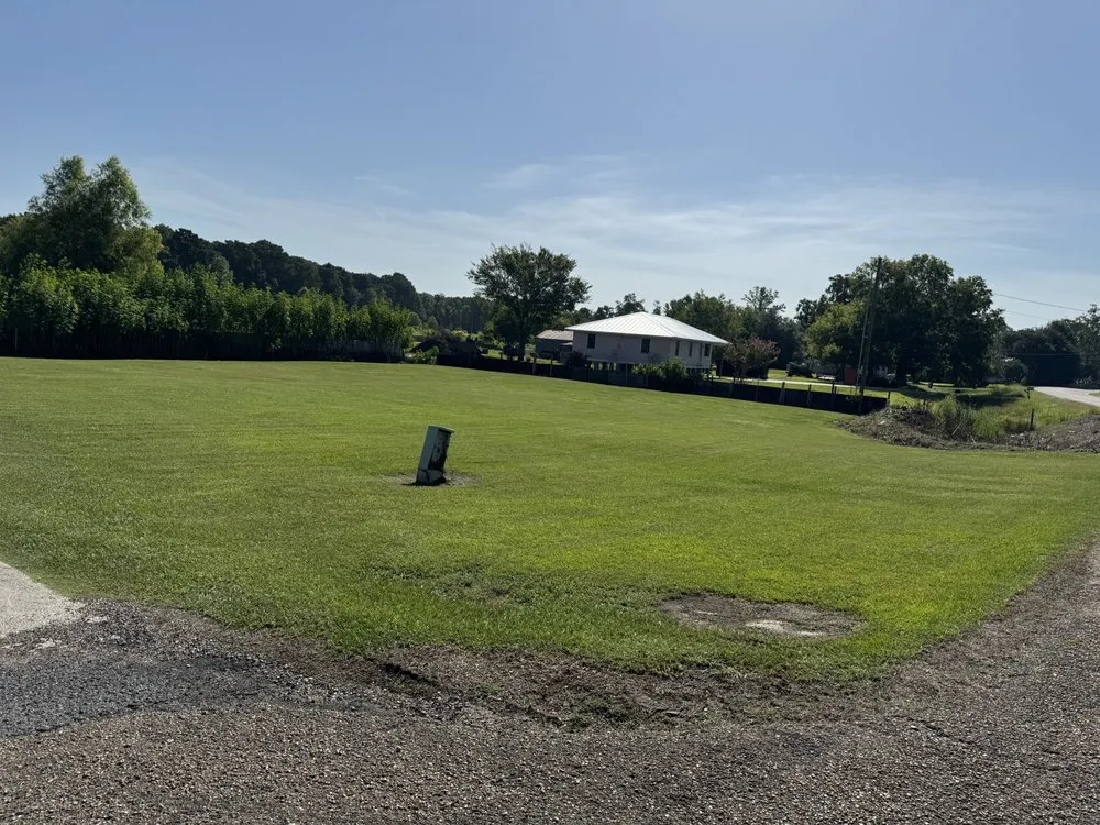 Trusted yard cleanup service near you across Pierre Part, LA - Pourciau’s Services