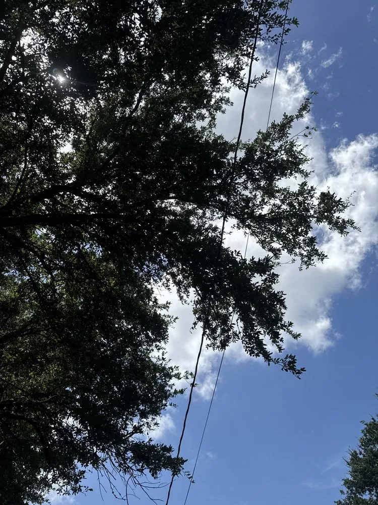 Affordable garden landscaping near you in Pierre Part, LA by Pourciau’s Services