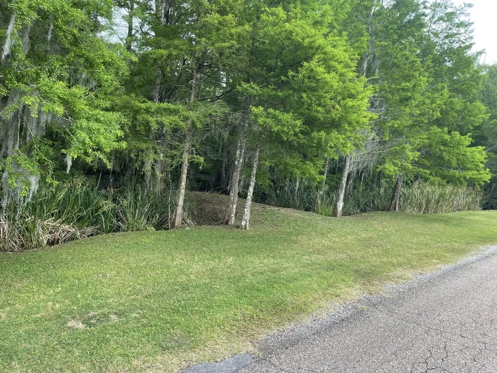 Professional landscaping services experts serving Pierre Part, LA - Pourciau’s Services