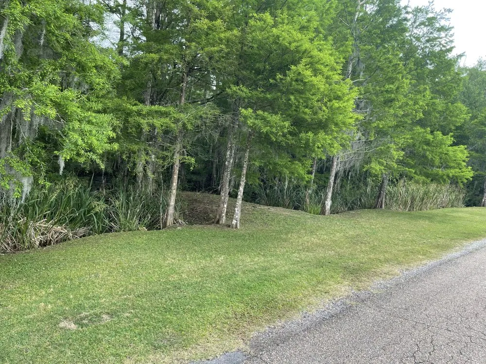 Top-rated residential landscaping in Pierre Part, LA - Pourciau’s Services