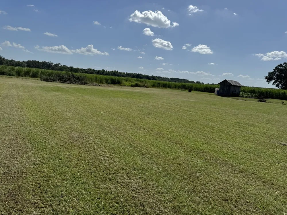 Trusted landscape installation for year-round maintenance across Pierre Part, LA - Pourciau’s Services