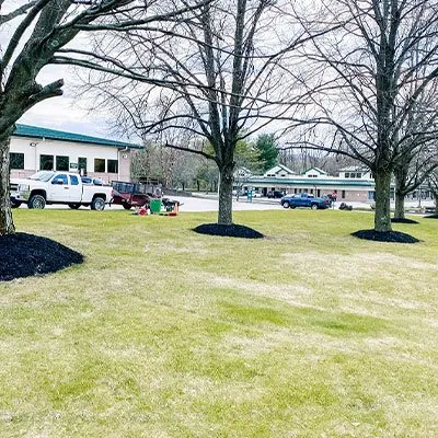 Local garden landscaping for year-round maintenance across Wappingers Falls, NY - Povall Siteworks