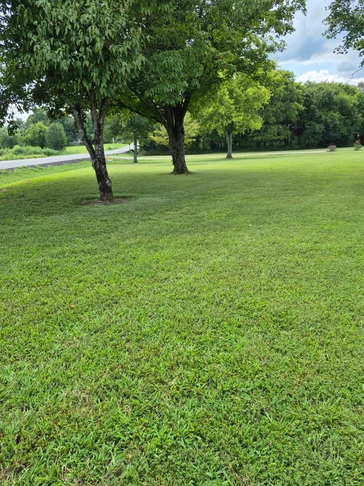 Local landscaping services in Bell Buckle, TN by Poverty hill lawn care
