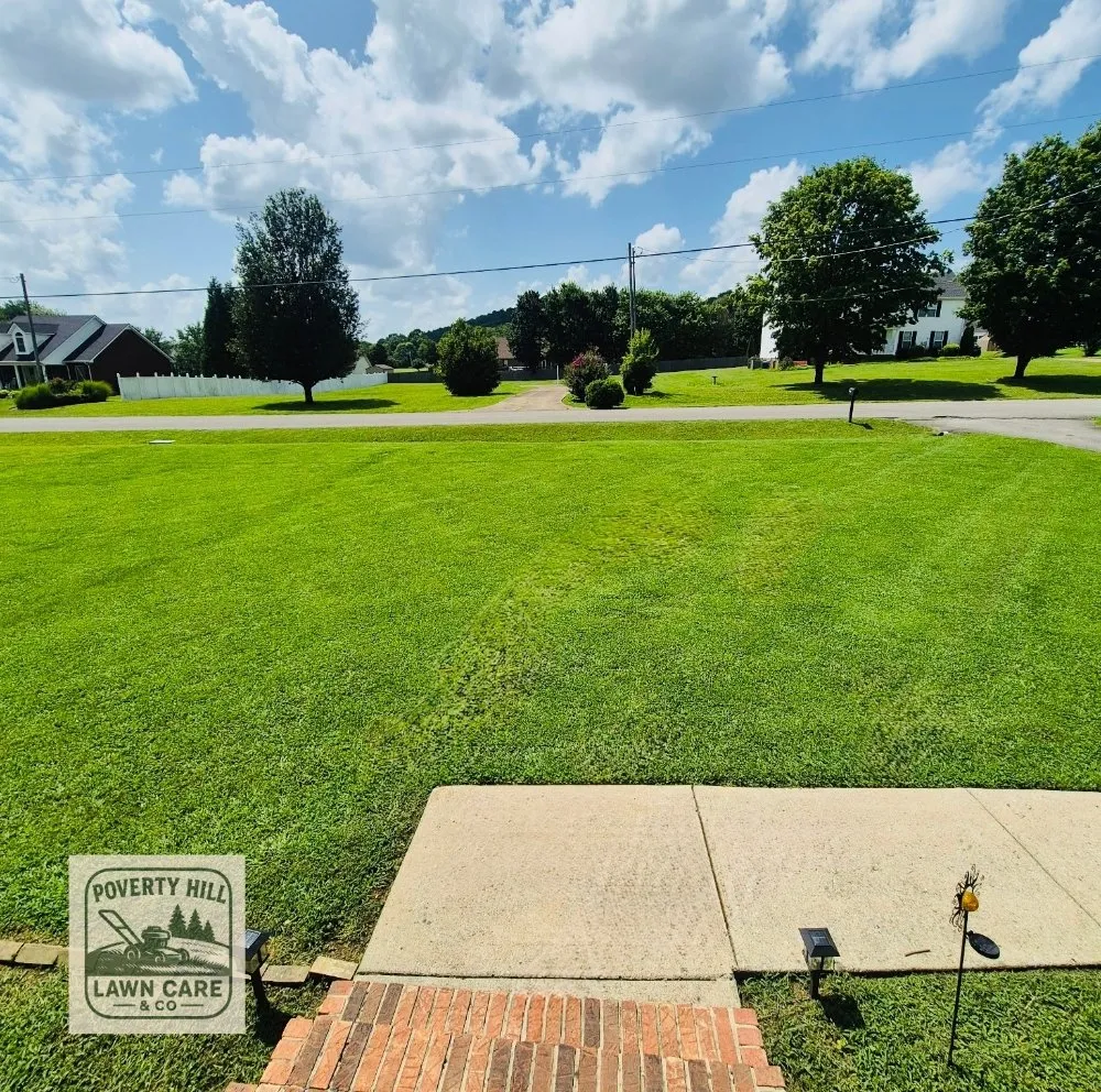Affordable landscape installation for year-round maintenance across Bell Buckle, TN - Poverty hill lawn care