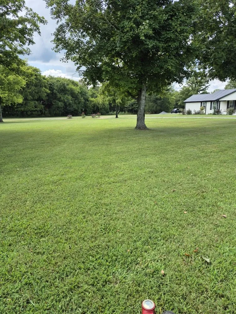 Professional lawn mowing service in Bell Buckle, TN - Poverty hill lawn care