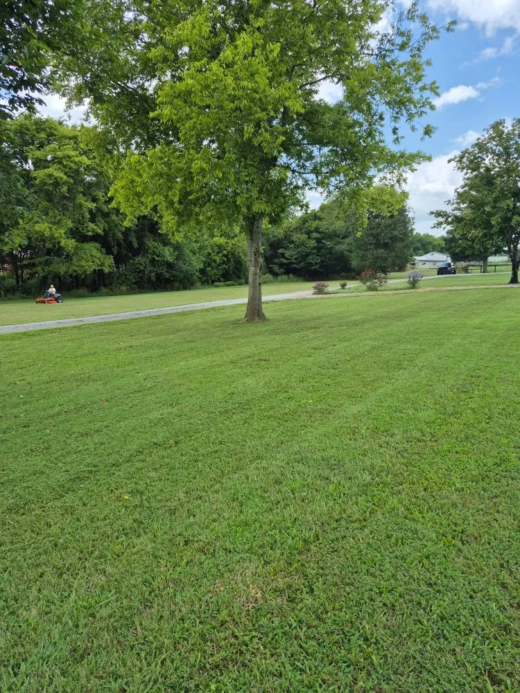 Local landscape installation near you across Bell Buckle, TN - Poverty hill lawn care