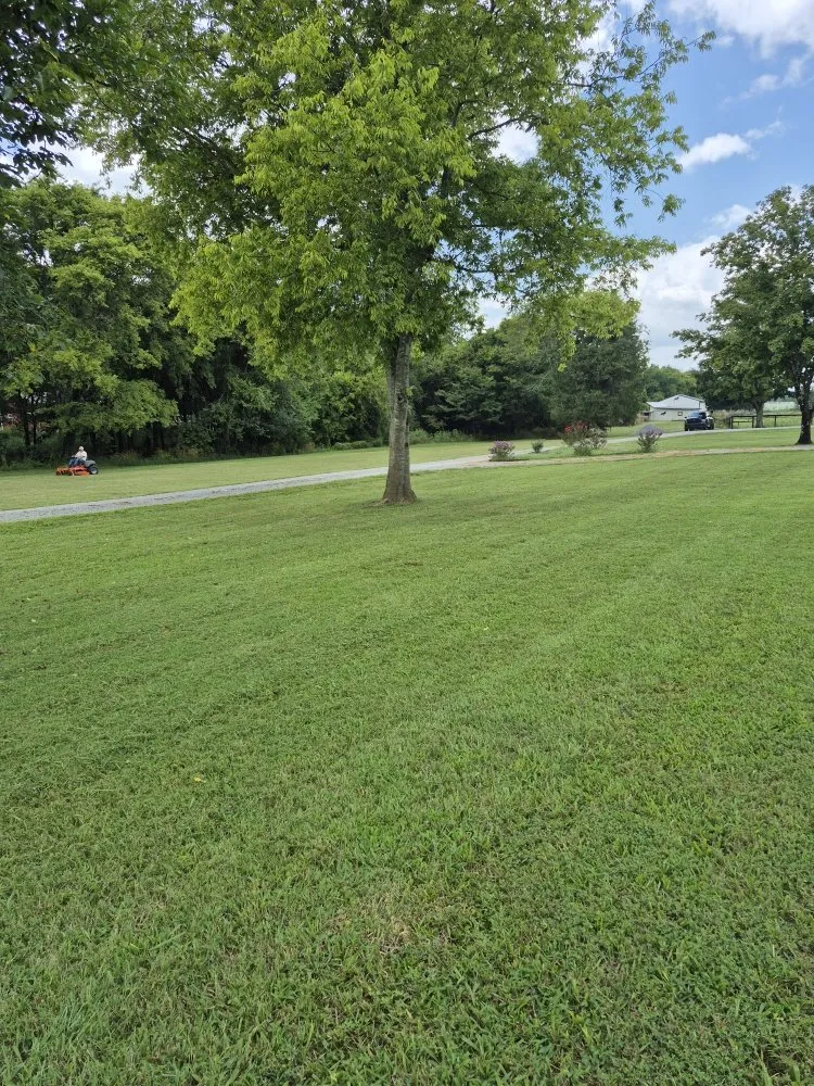 Professional yard maintenance in Bell Buckle, TN - Poverty hill lawn care