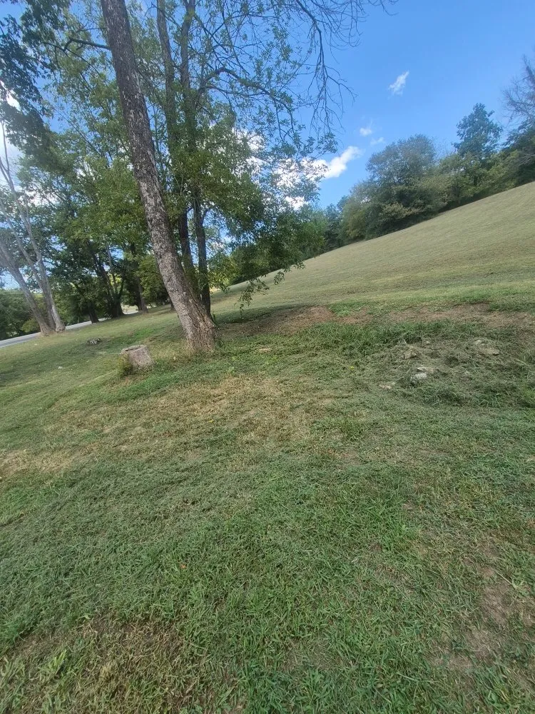 Affordable lawn mowing service in Bell Buckle, TN - Poverty hill lawn care
