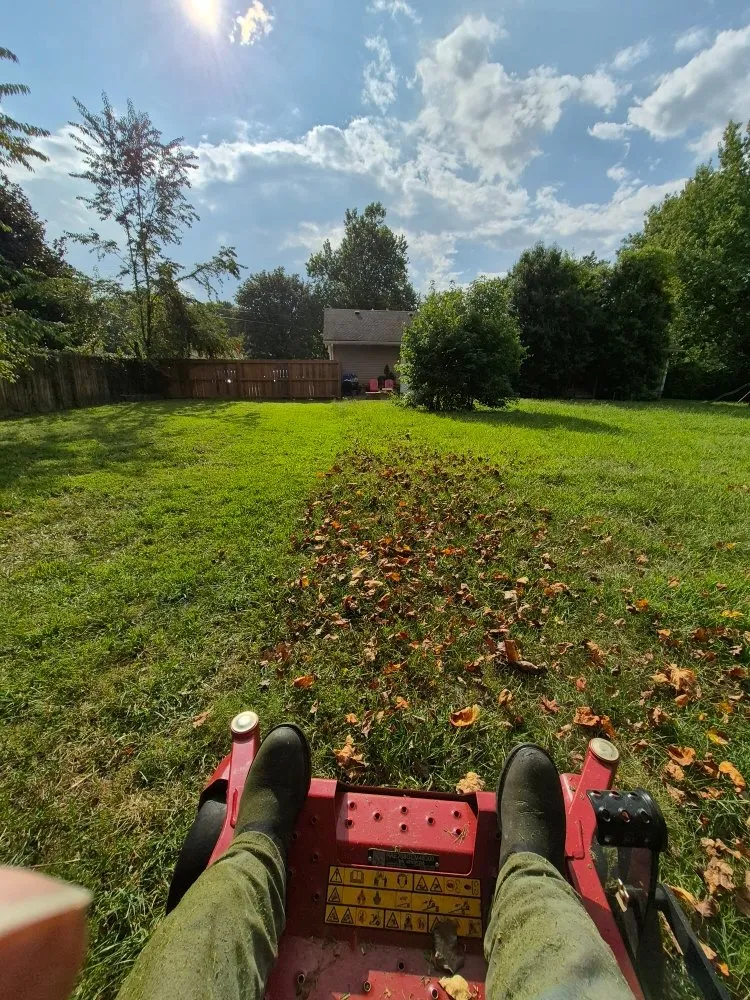 Trusted yard cleanup service for outdoor upgrades across Bell Buckle, TN - Poverty hill lawn care