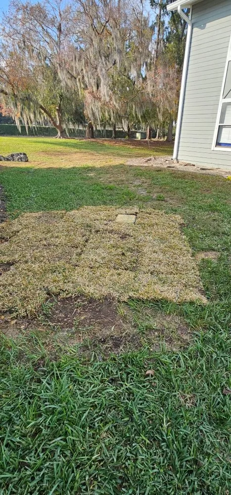 Trusted outdoor landscaping in Deltona, FL - Powell Environmental Services