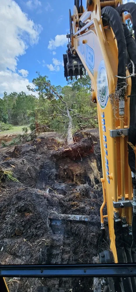 Top-rated lawn care service in Deltona, FL - Powell Environmental Services