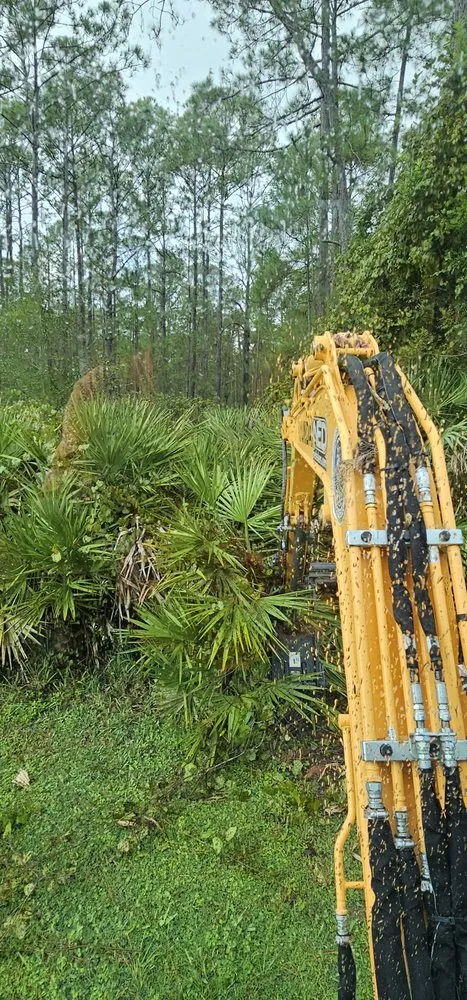 Trusted lawn care service near you in Deltona, FL by Powell Environmental Services