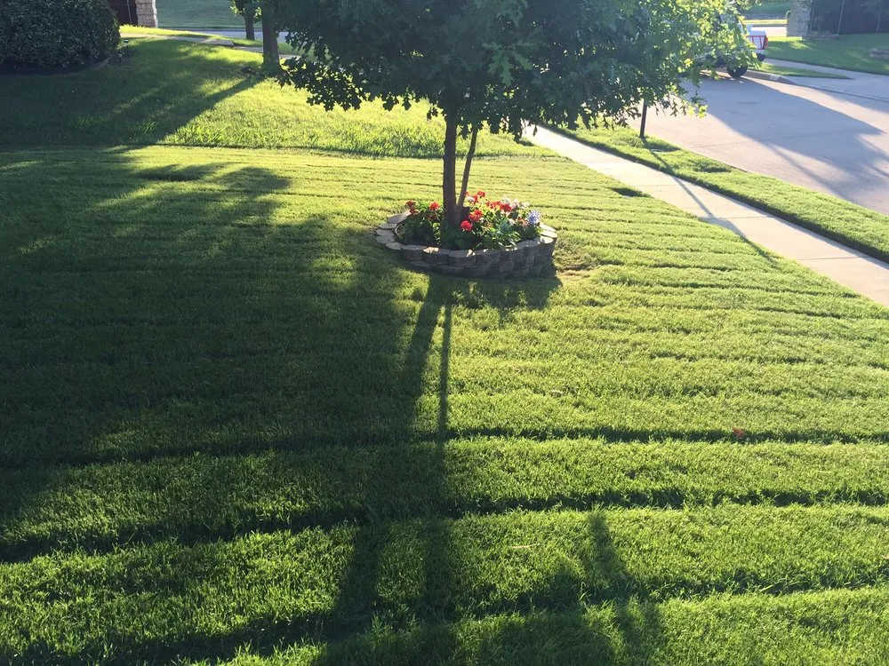 Custom lawn care service in Glenn Heights, TX - Powell Grow Lawncare & Landscaping