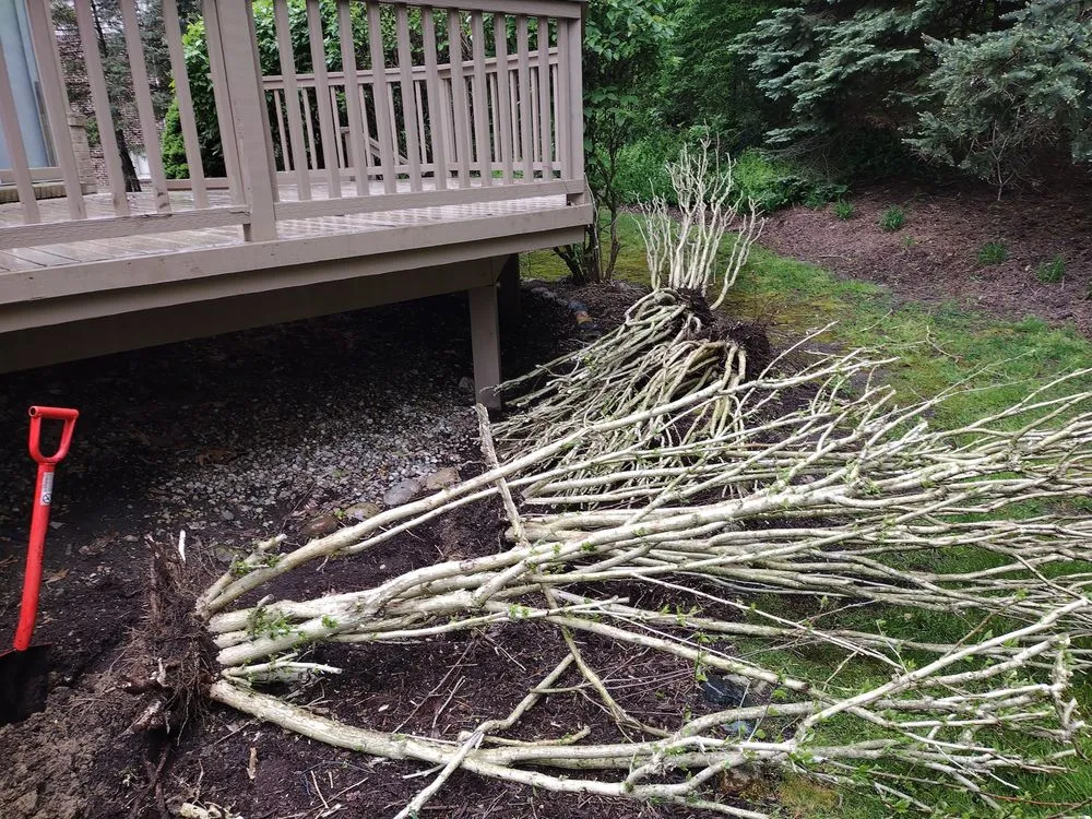 Top-rated landscaping services in Inkster, MI by Powell outdoor services llc