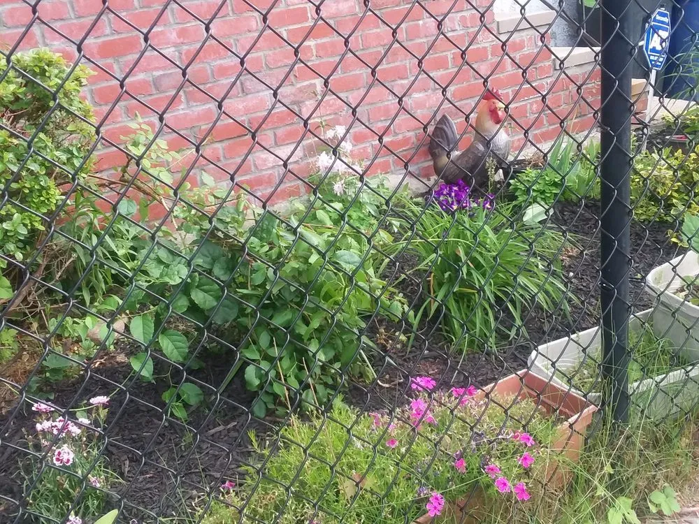 Reliable outdoor landscaping in Dorchester Center, MA by Powell Yard Work