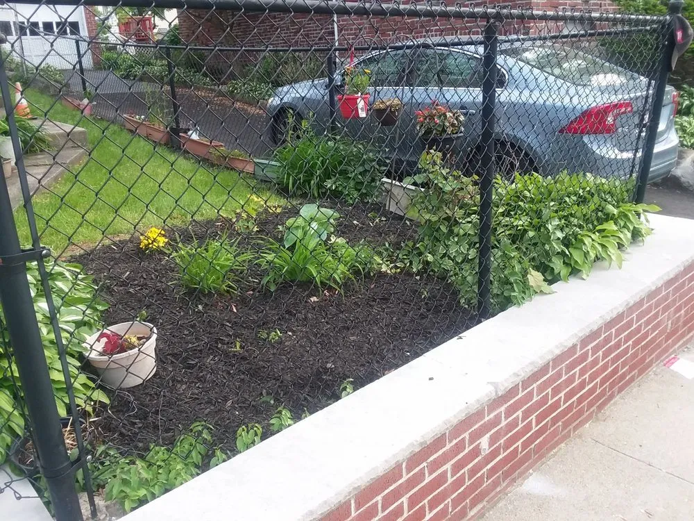 Local residential landscaping experts serving Dorchester Center, MA - Powell Yard Work