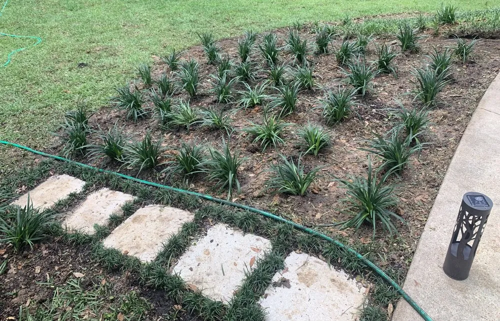 Local yard cleanup service in Tallahassee, FL - Powell's All Around Property Services