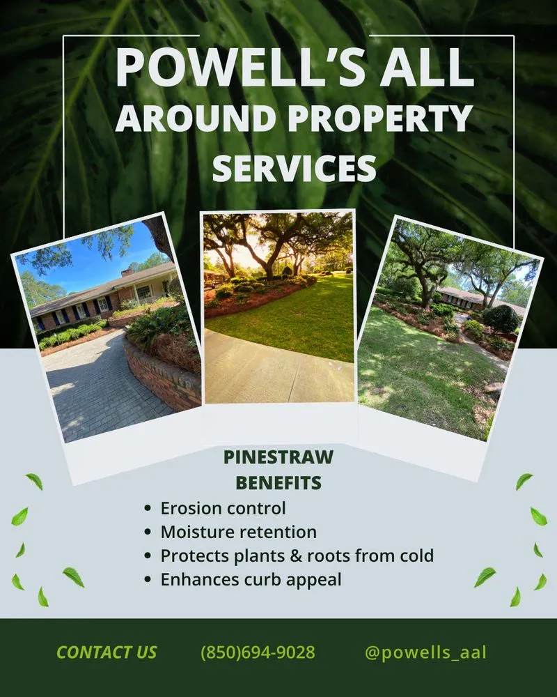 Local lawn care service in Tallahassee, FL by Powell's All Around Property Services