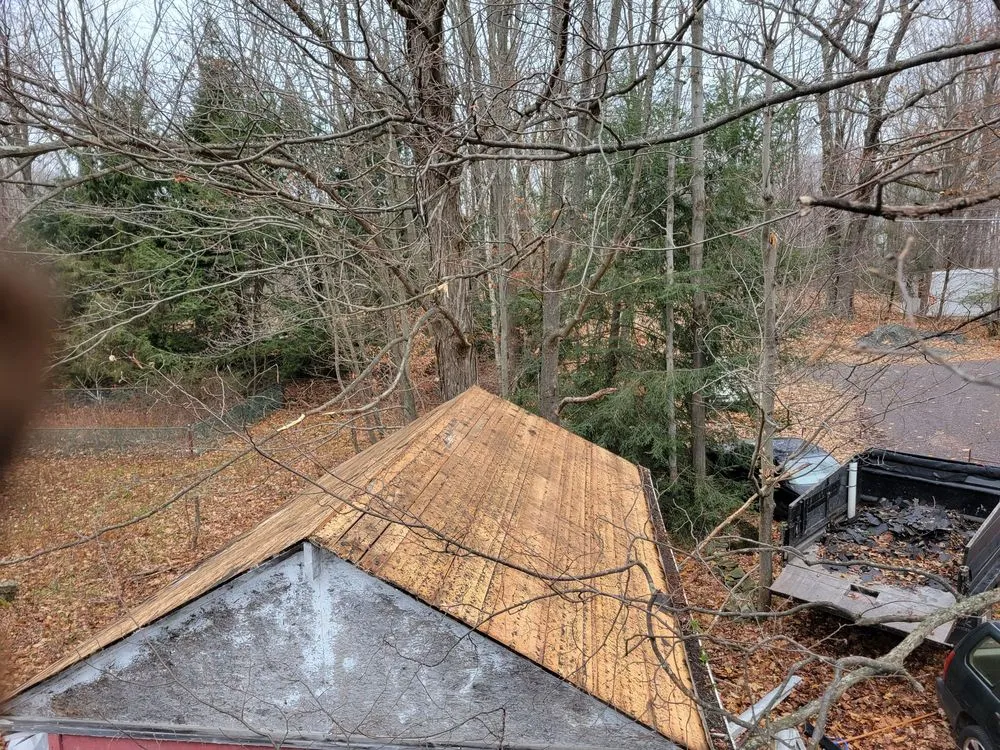 Expert yard cleanup service in Wilkes Barre, PA - Powell's Cutting Edge Landscaping