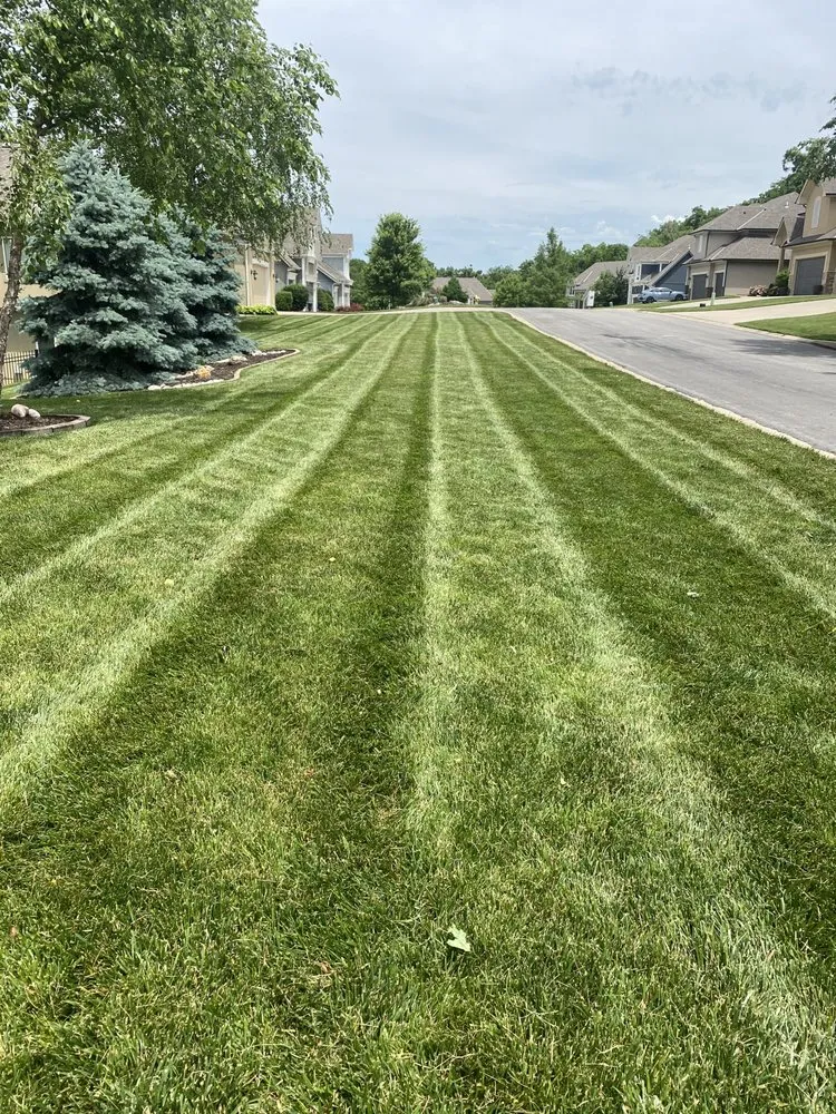 Top-rated lawn mowing service in Kansas City, MO by Powell’s Lawn Care