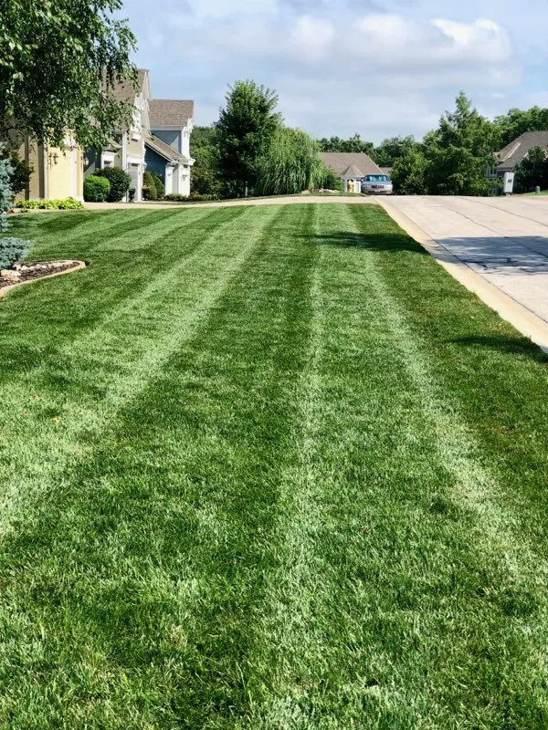 Top-rated outdoor landscaping experts serving Kansas City, MO - Powell’s Lawn Care