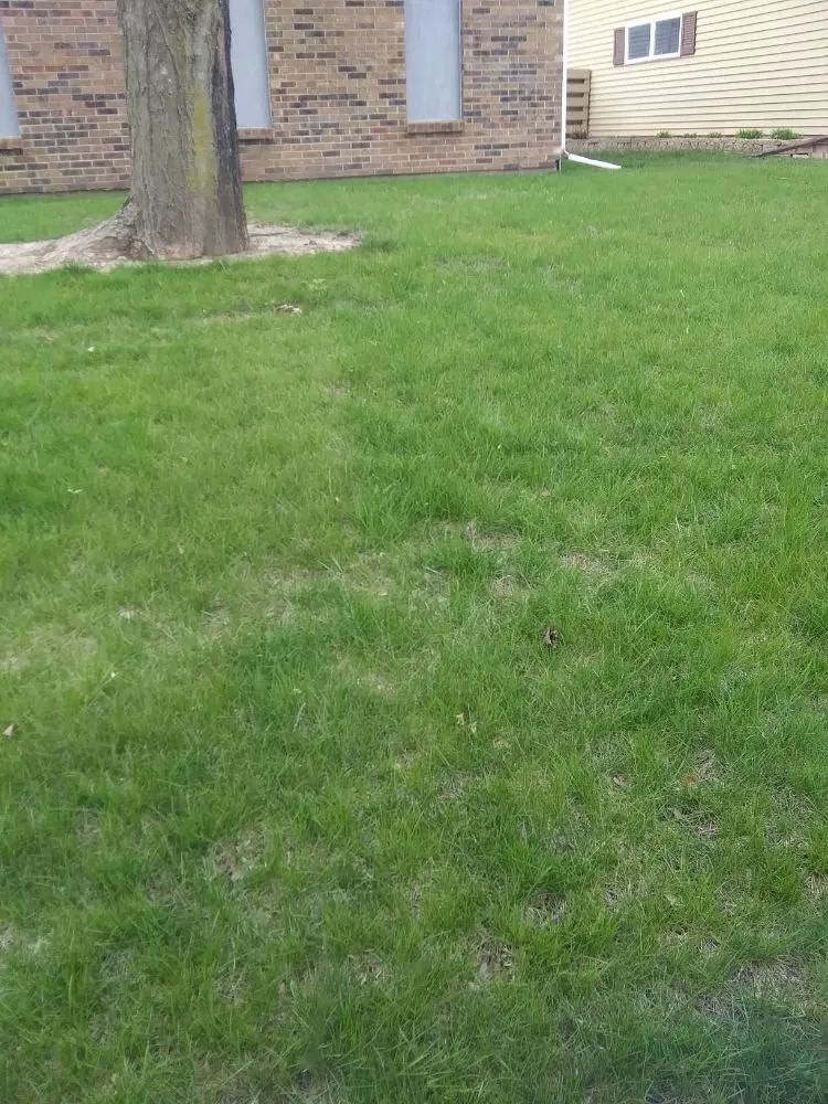 Custom landscape installation in Dixon, IL - Powell's lawn service