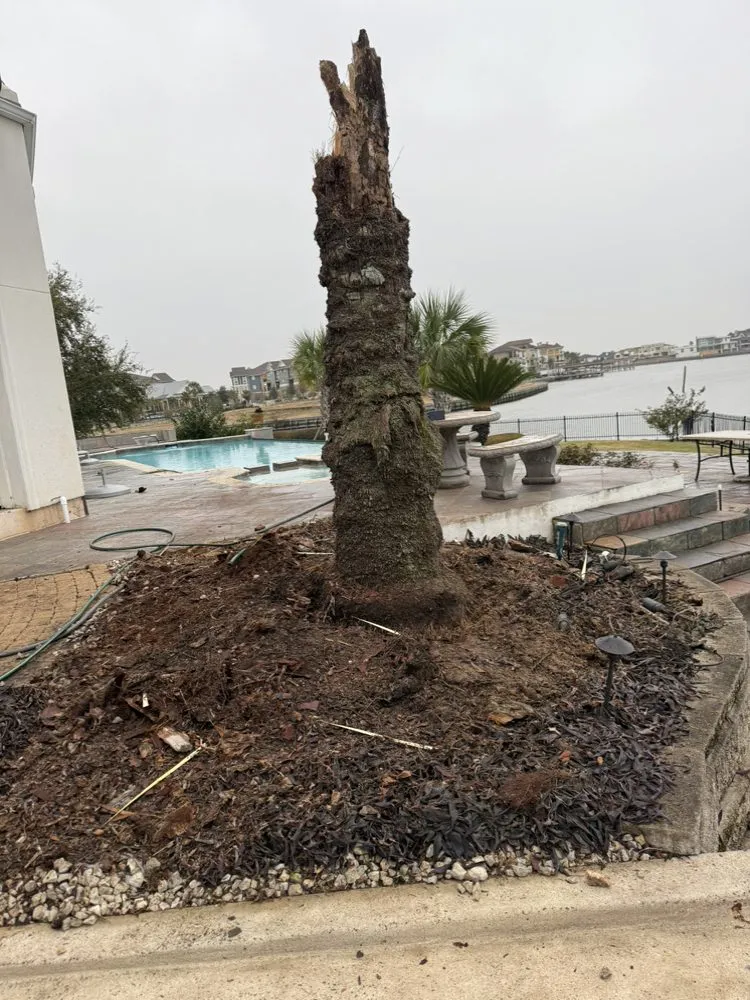 Reliable lawn mowing service in League City, TX - Power 2 Clean